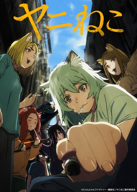 Chainsmoker Cat